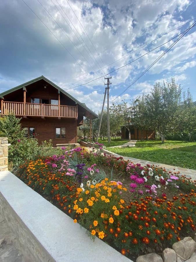 Анничка Villa Khorotseve Bagian luar foto