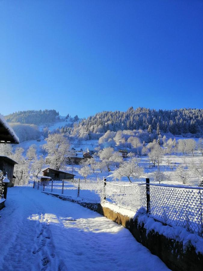 Анничка Villa Khorotseve Bagian luar foto