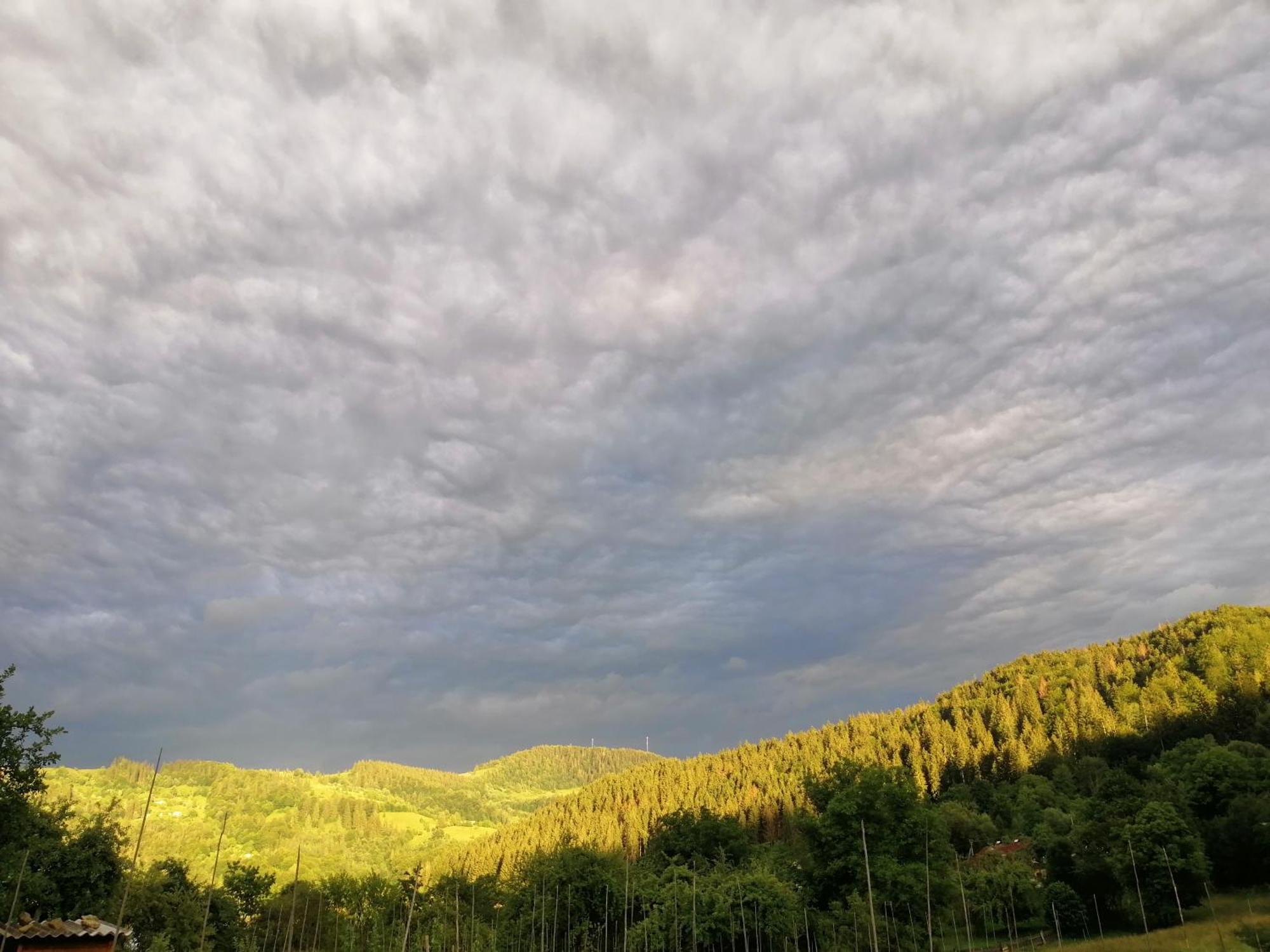 Анничка Villa Khorotseve Bagian luar foto