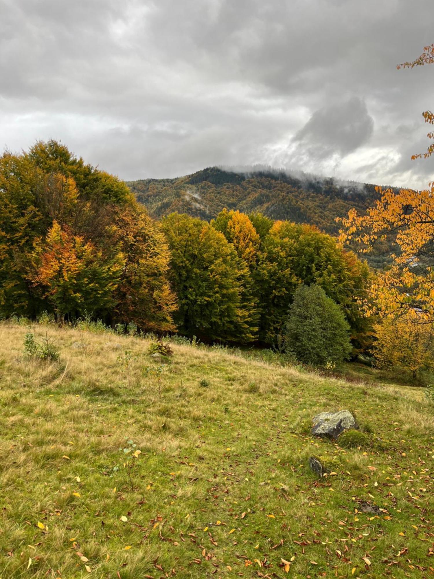 Анничка Villa Khorotseve Bagian luar foto