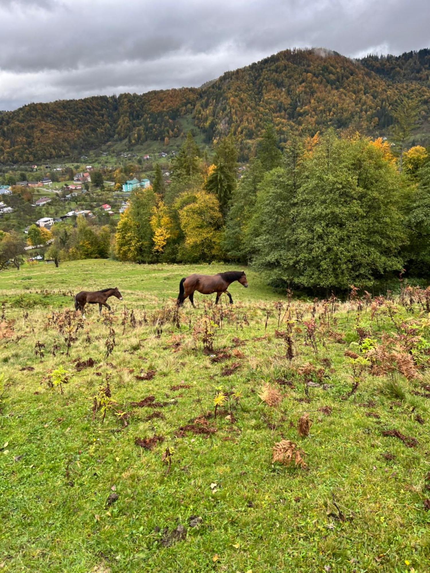 Анничка Villa Khorotseve Bagian luar foto